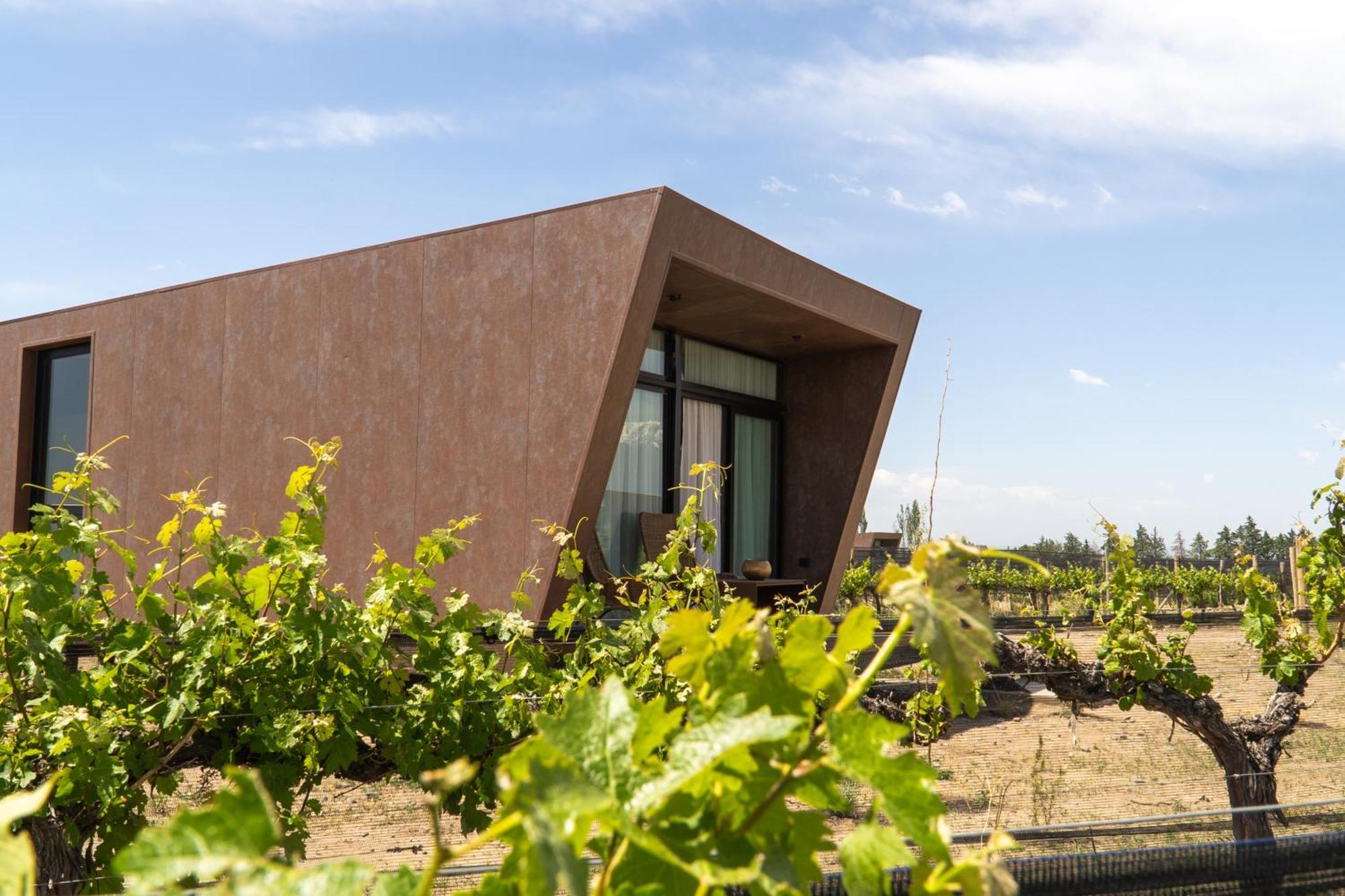 Andeluna Winery Lodge Tupungato Exterior foto